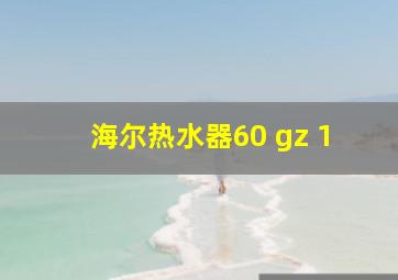 海尔热水器60 gz 1